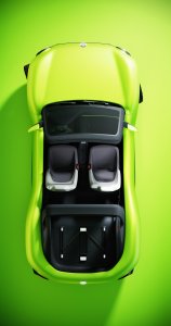 ID._BUGGY-Large-9450