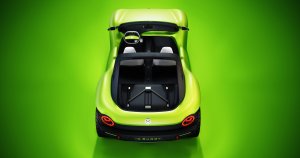 ID._BUGGY-Large-9451