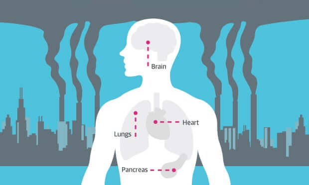 Gaisa piesārņojums mūs lēnām nogalina 2 Gaisa piesārņojuma infografika. Avots: theguardian.com