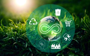 Ilgtspēja (Shutterstock foto)